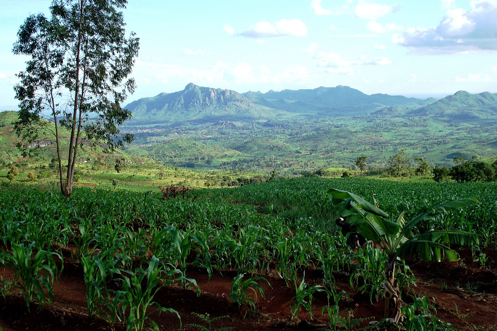 Malawi countryside Zomba